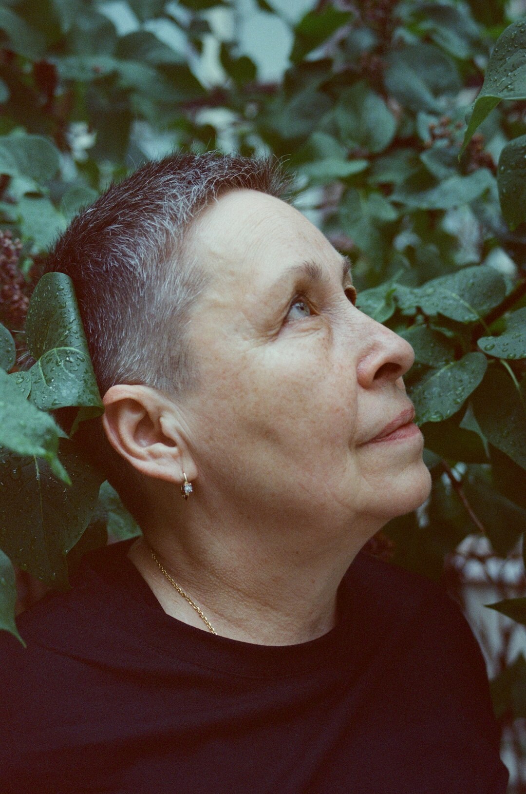 Studio portrait of a Hispanic woman in her fifties with short gray hair